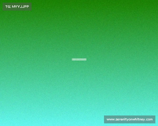 国际体育赛事已举办几次